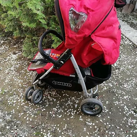 Maximilian 布拉迪斯拉发